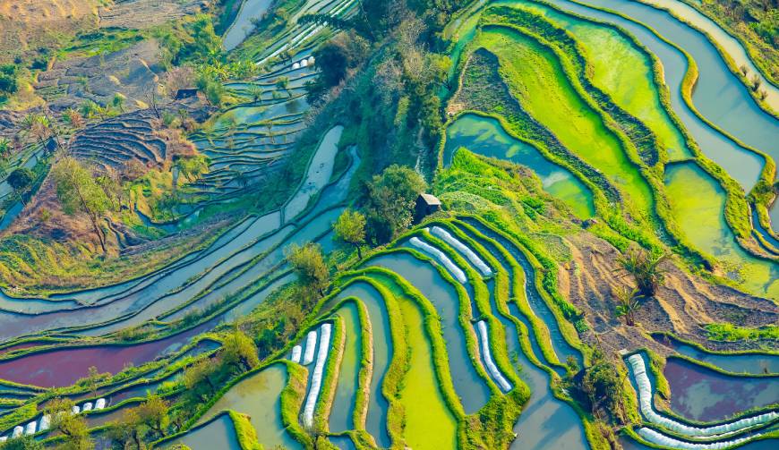 宝妈必备神器：锦江区产品视频拍摄轻松育儿好帮手